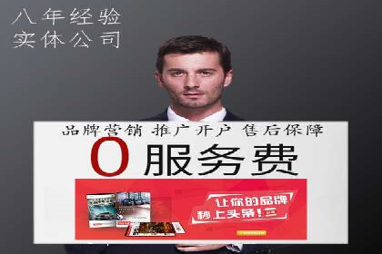百度广告投放策略与效果评估案例